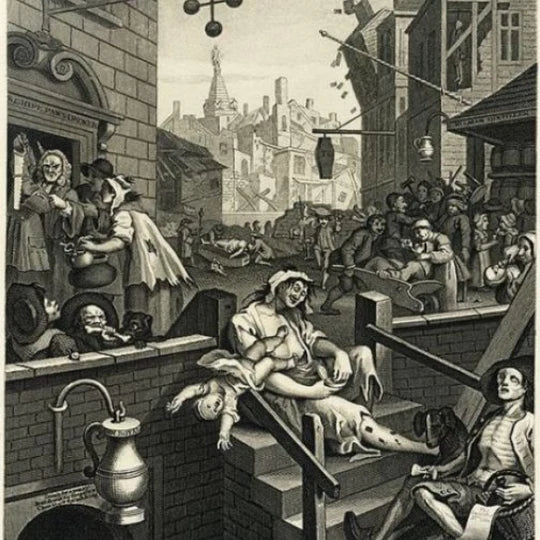 Exploring the History of Gin: From Medicinal Roots to Modern Craftsmanship