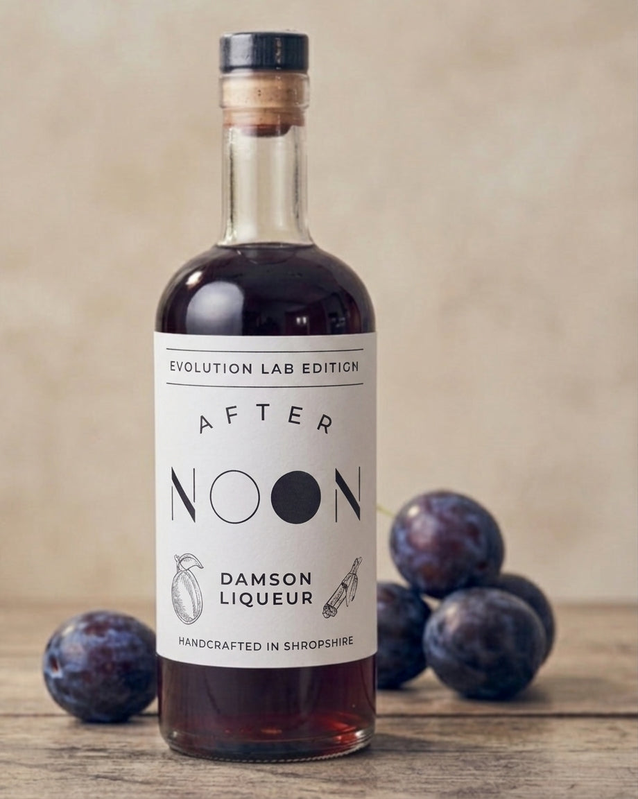 AFTER NOON Damson Liqueur