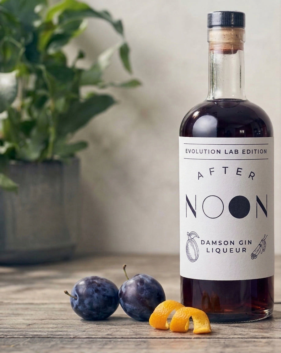AFTER NOON Damson Gin Liqueur