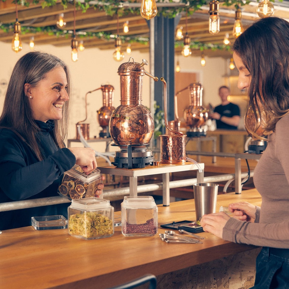 Gin School