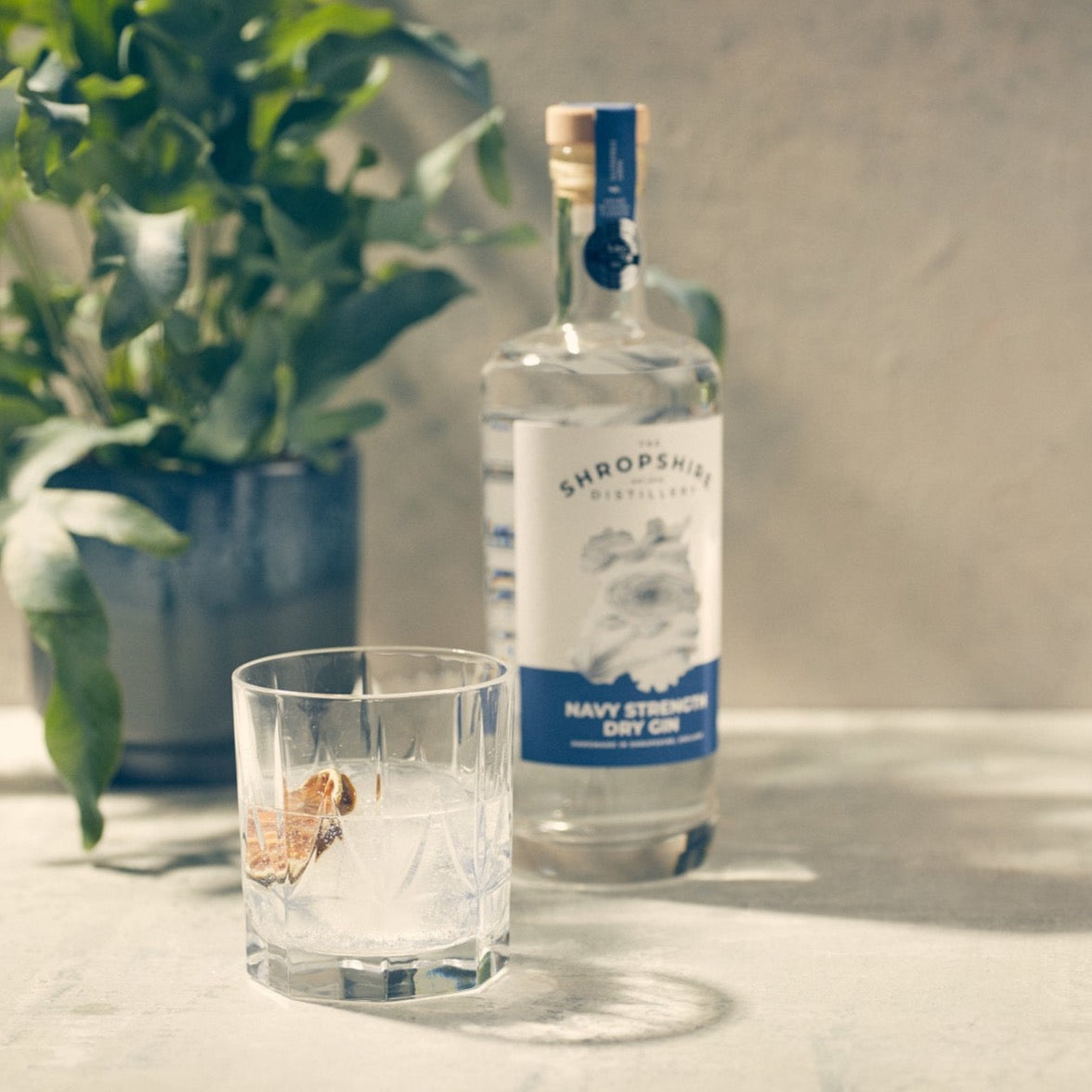 Navy Strength Gin