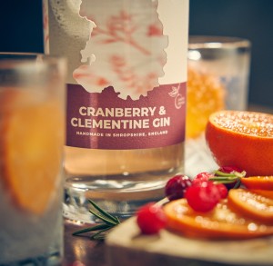 Celebrate Christmas with our Cranberry and Clementine Gin!